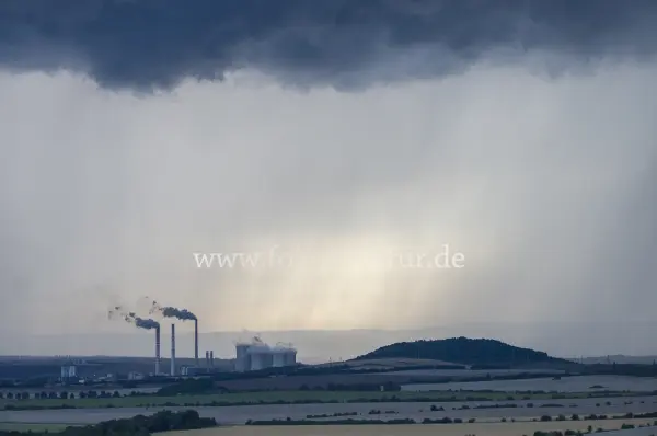 Fokus-Natur Bild