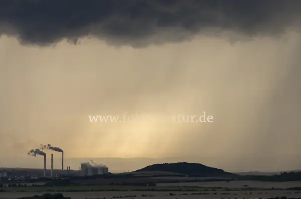Fokus-Natur Bild