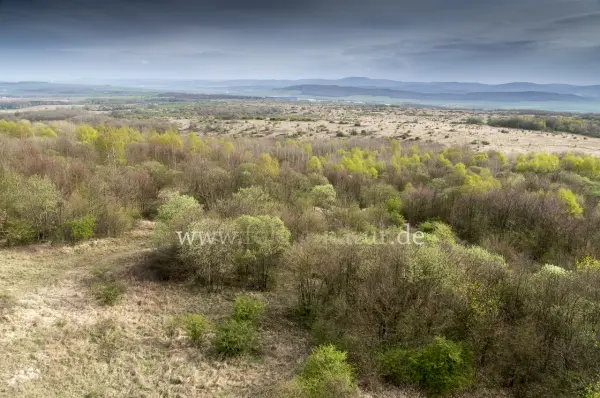 Fokus-Natur Bild