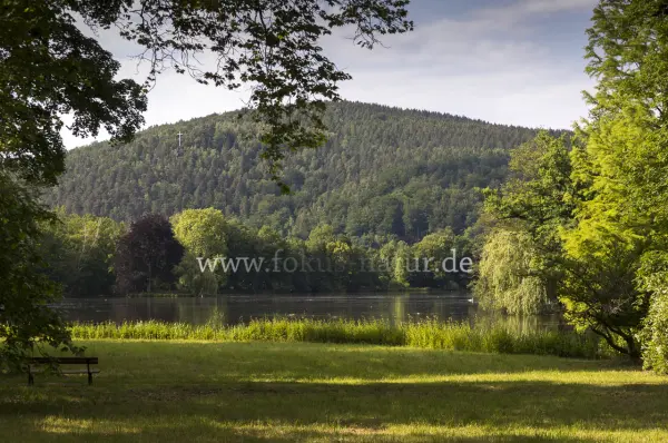 Fokus-Natur Bild
