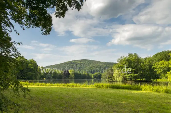 Fokus-Natur Bild
