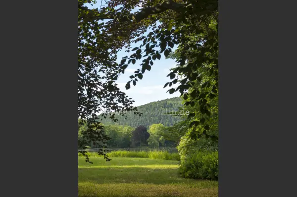 Fokus-Natur Bild