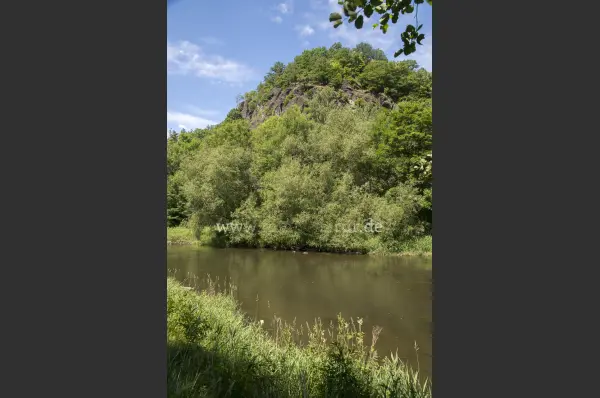 Fokus-Natur Bild
