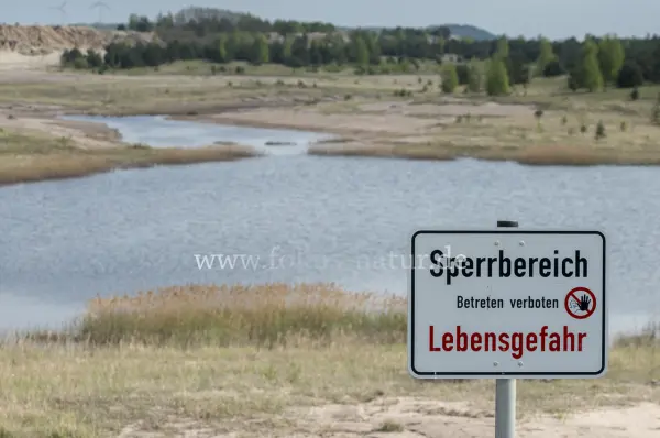 Fokus-Natur Bild