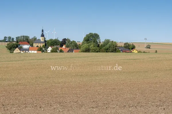 Fokus-Natur Bild