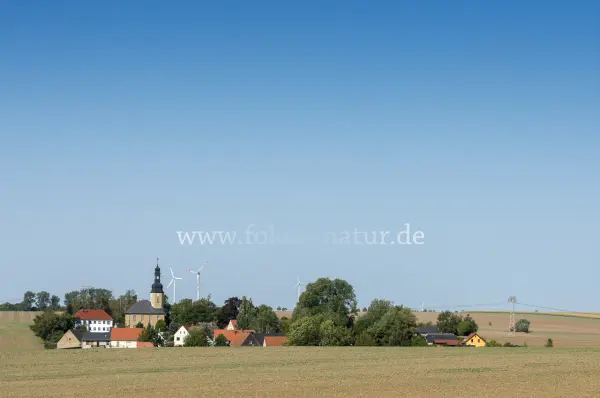 Fokus-Natur Bild