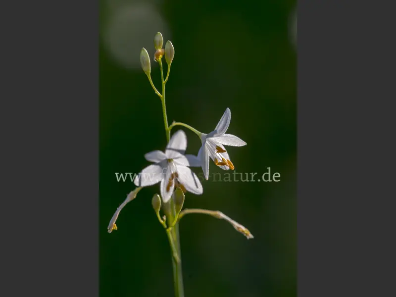 30417