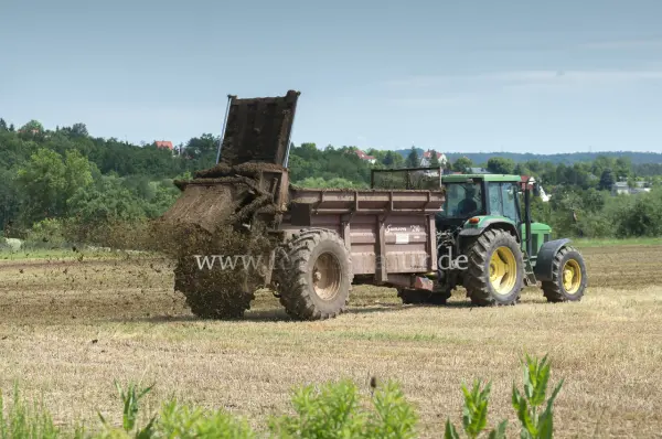 Fokus-Natur Bild