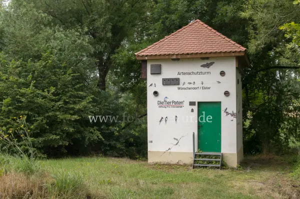 Fokus-Natur Bild
