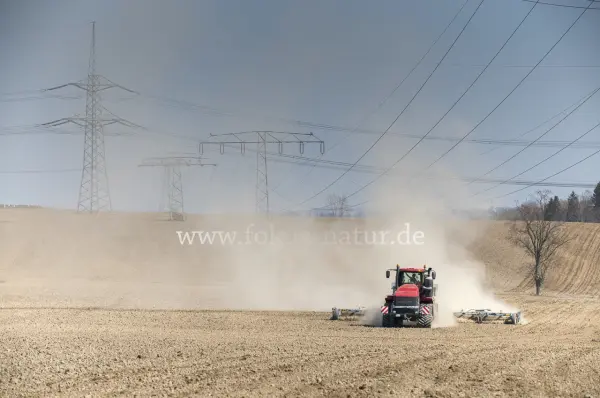 Fokus-Natur Bild
