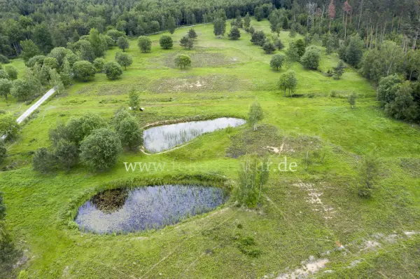Fokus-Natur Bild