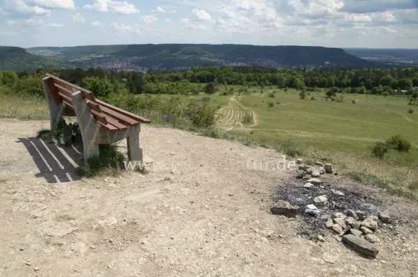 Fokus-Natur Bild