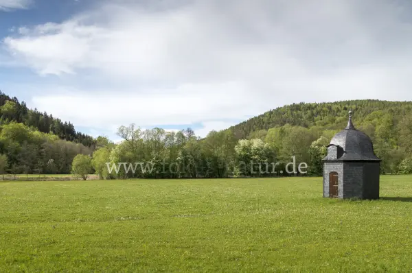 Fokus-Natur Bild