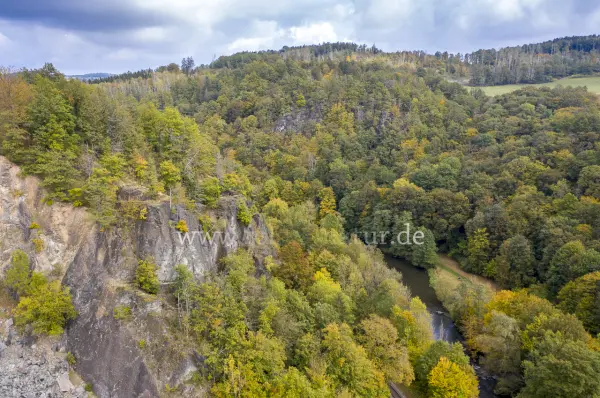 Fokus-Natur Bild