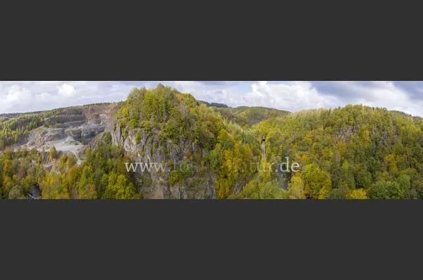 Fokus-Natur Bild