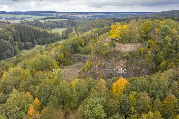 Fokus-Natur Bild