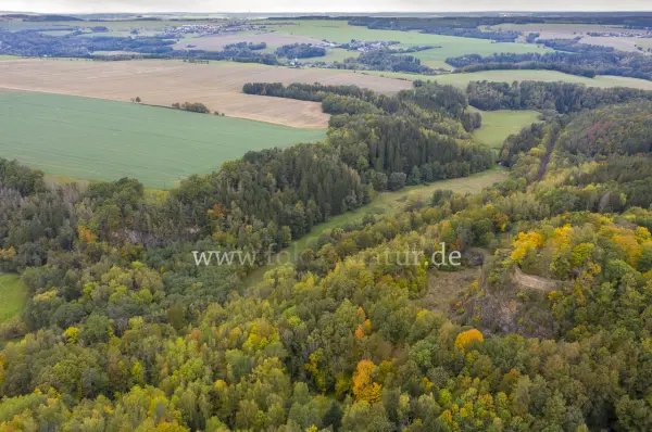 Fokus-Natur Bild