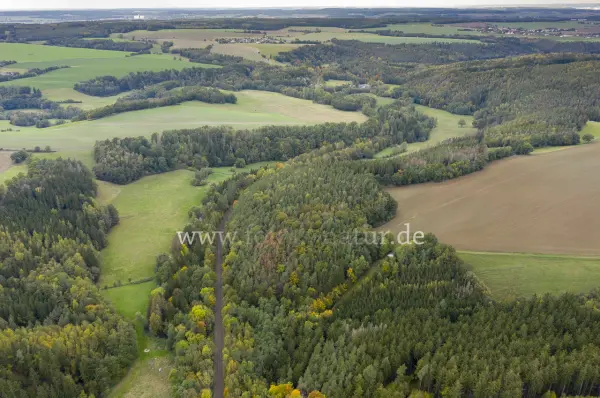 Fokus-Natur Bild