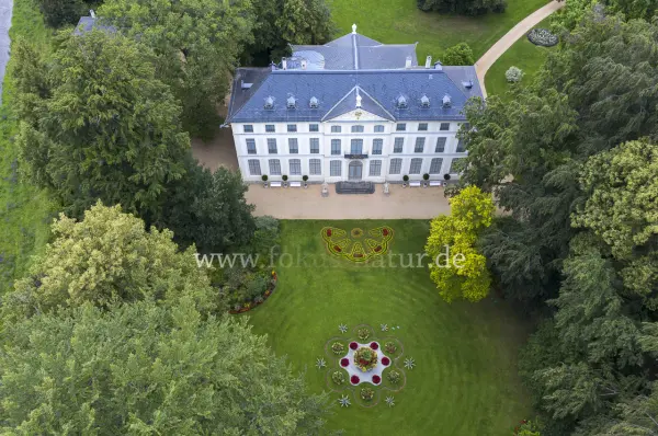Fokus-Natur Bild