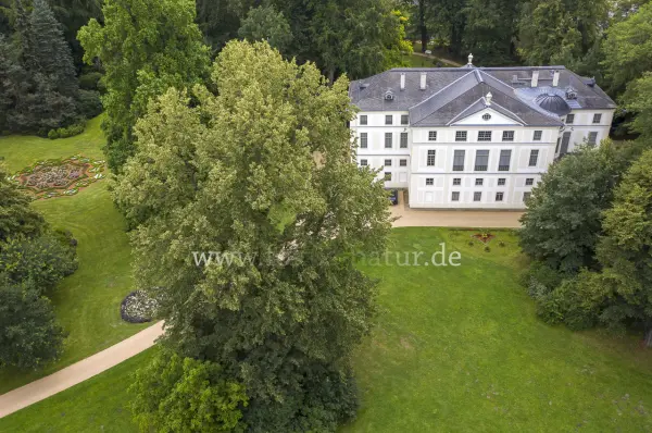 Fokus-Natur Bild