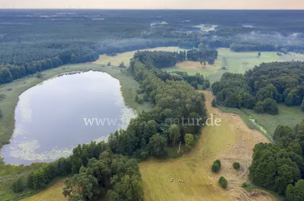 Fokus-Natur Bild