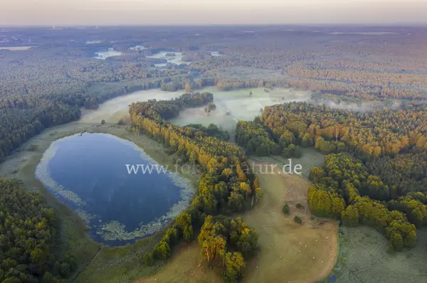 Fokus-Natur Bild