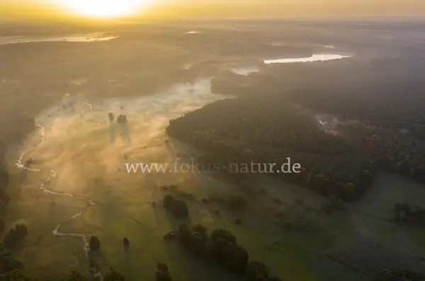 Fokus-Natur Bild