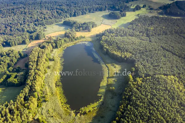 Fokus-Natur Bild