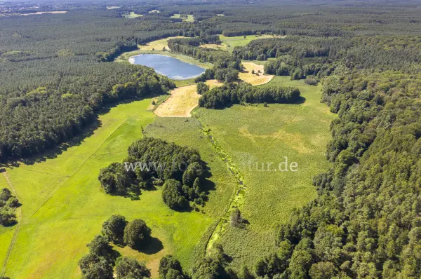 Fokus-Natur Bild