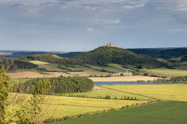 Fokus-Natur Bild