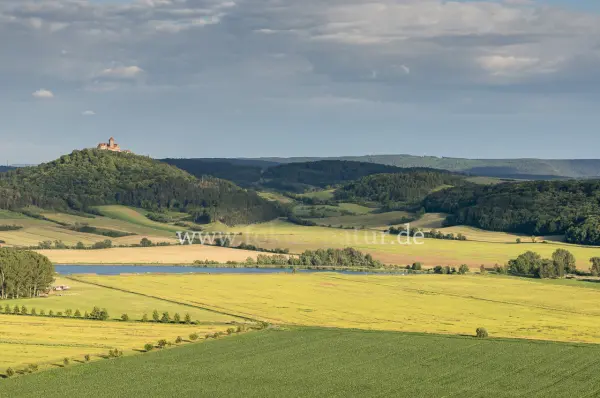 Fokus-Natur Bild