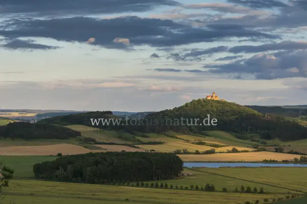 Fokus-Natur Bild
