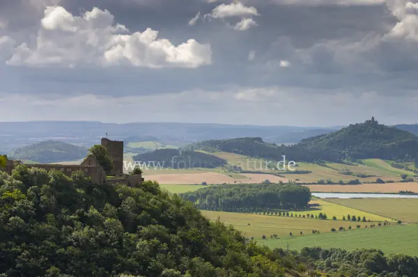 Fokus-Natur Bild