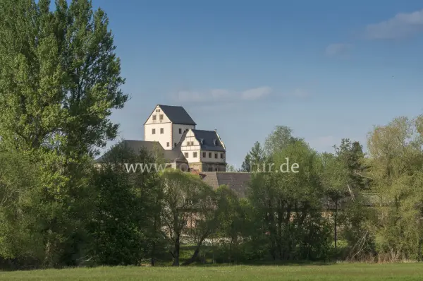 Fokus-Natur Bild