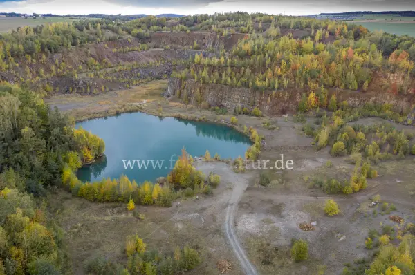 Fokus-Natur Bild