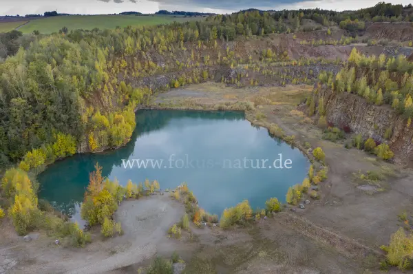 Fokus-Natur Bild