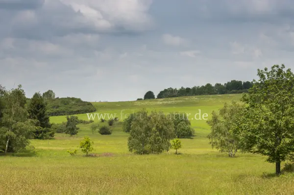 Fokus-Natur Bild