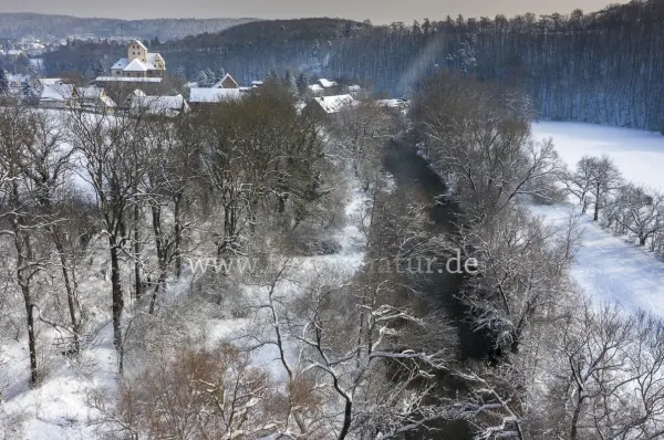 Fokus-Natur Bild
