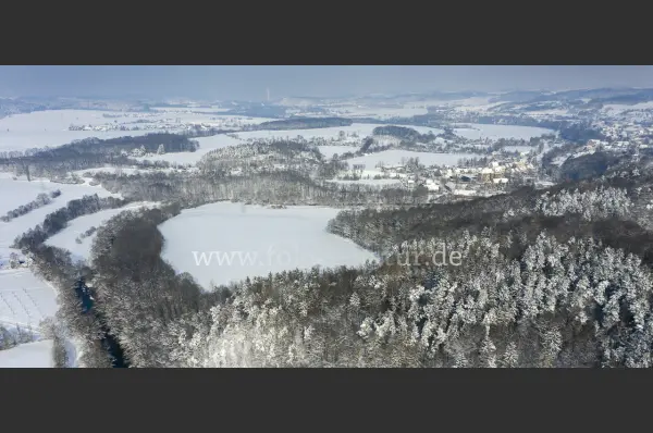 Fokus-Natur Bild
