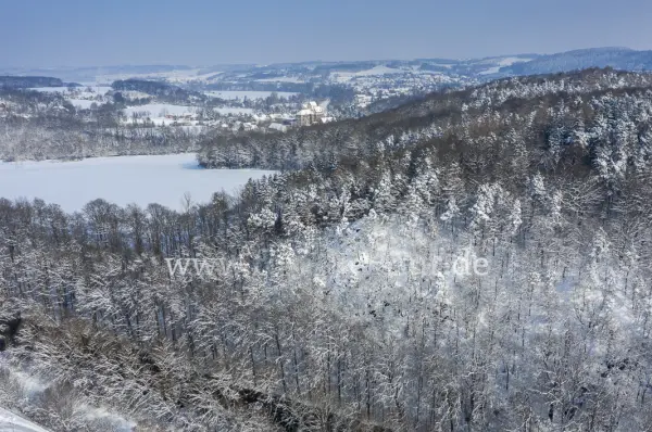 Fokus-Natur Bild