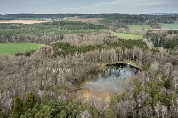 Fokus-Natur Bild
