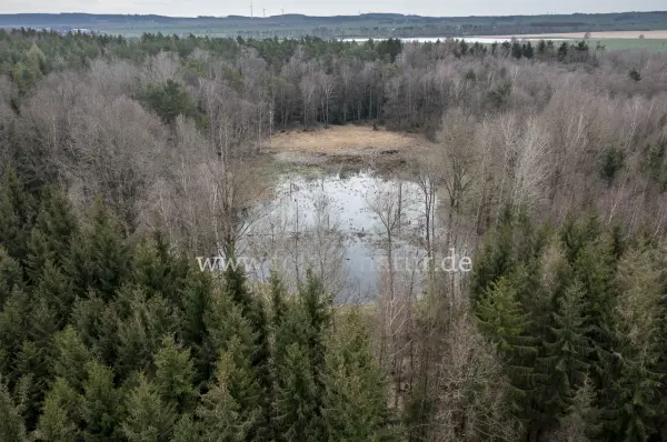 Fokus-Natur Bild