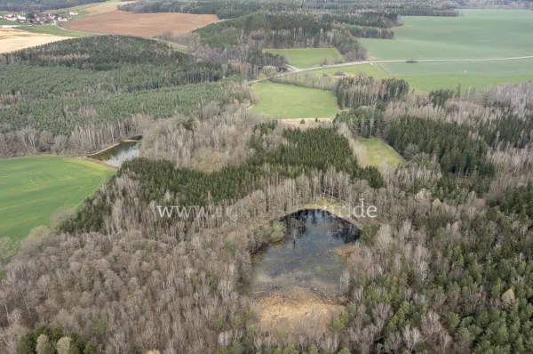 Fokus-Natur Bild