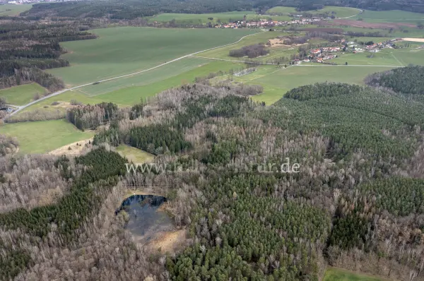 Fokus-Natur Bild