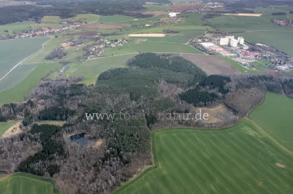 Fokus-Natur Bild