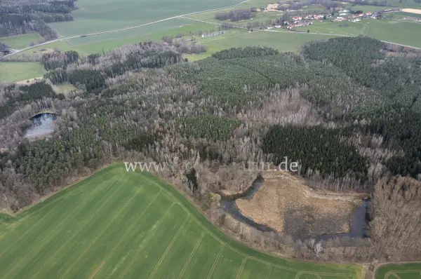 Fokus-Natur Bild