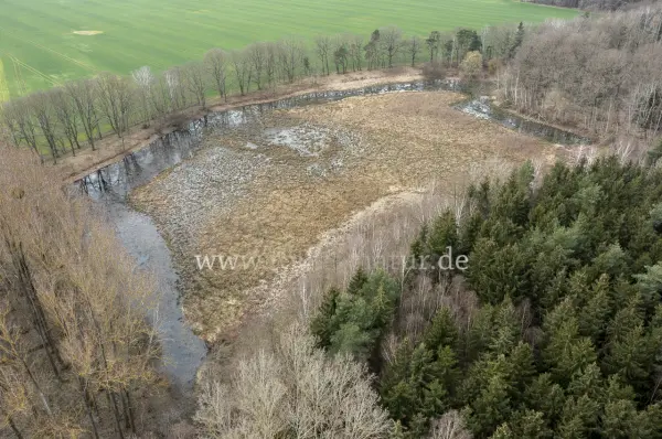 Fokus-Natur Bild