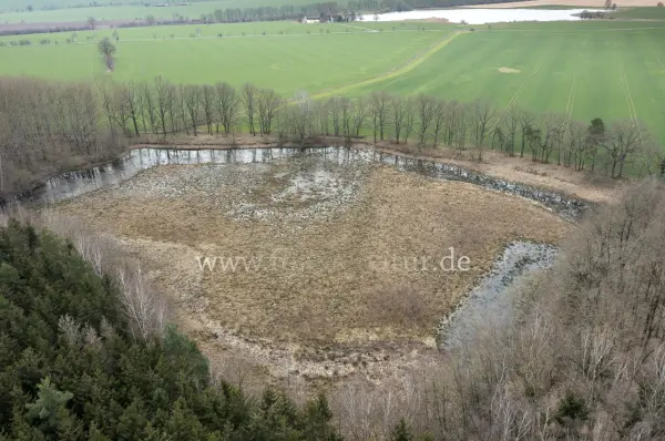 Fokus-Natur Bild