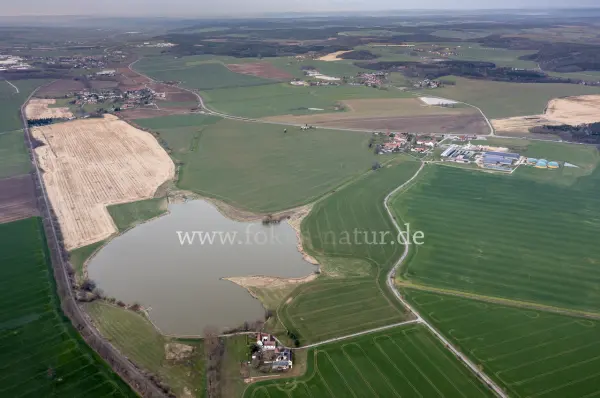 Fokus-Natur Bild