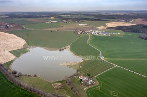 Fokus-Natur Bild